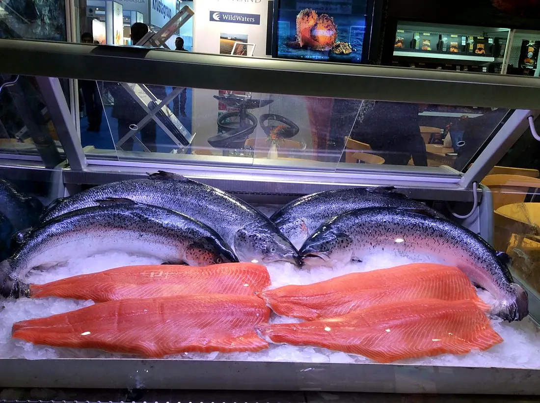 Whole salmon and fillets displayed on ice at an international seafood expo