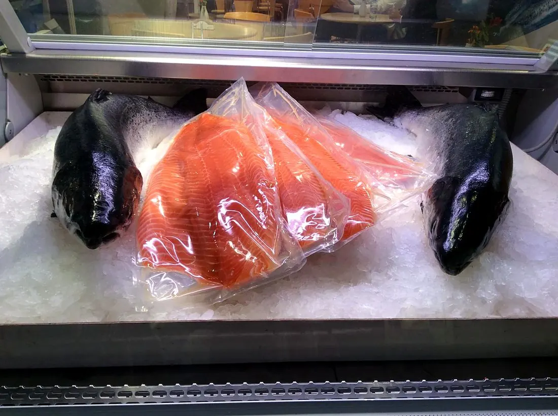 Vacuum-packed salmon fillets between two whole salmon on ice
