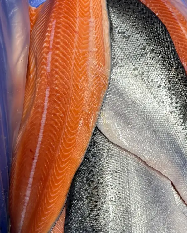 Full fillets, skin on